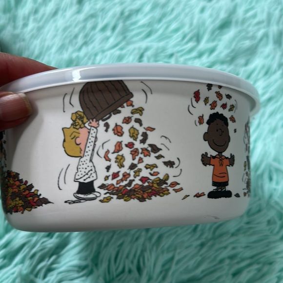 Peanuts snoopy seasonal containers storage perfect for fall thanksgiving set - Picture 7 of 8